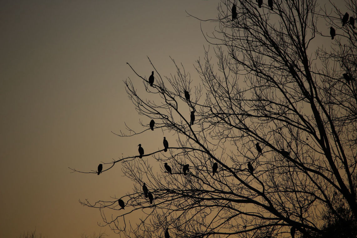 Delineació i ampliació de l’espai sagrat