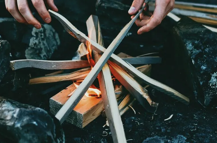 Breu manual de supervivència