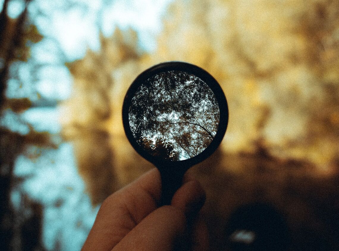 Superar la incertesa