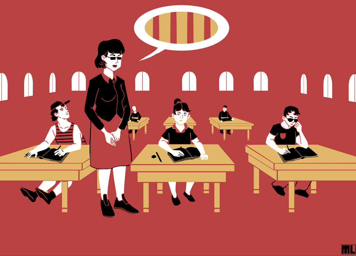 Problemes de la immersió i les possibles alternatives